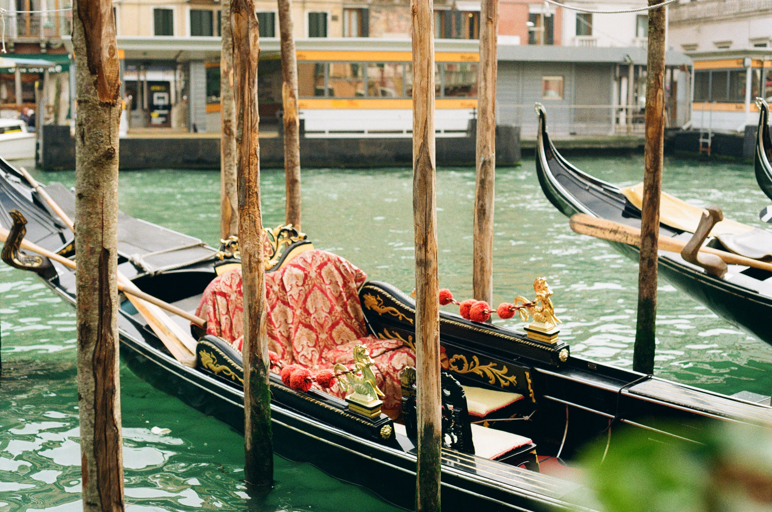 Photograph by Pierce Clark