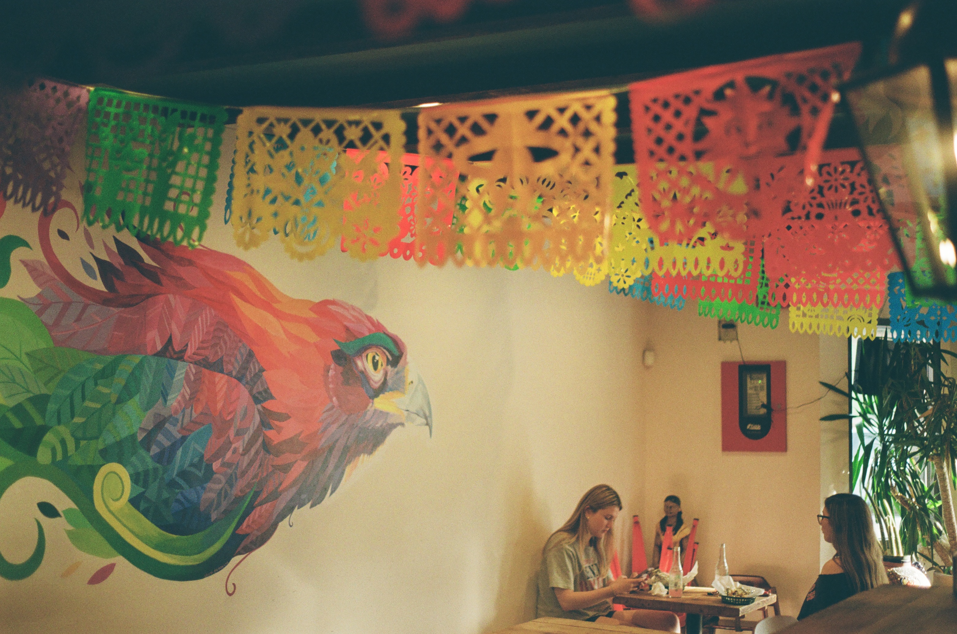 Photograph by Pierce Clark