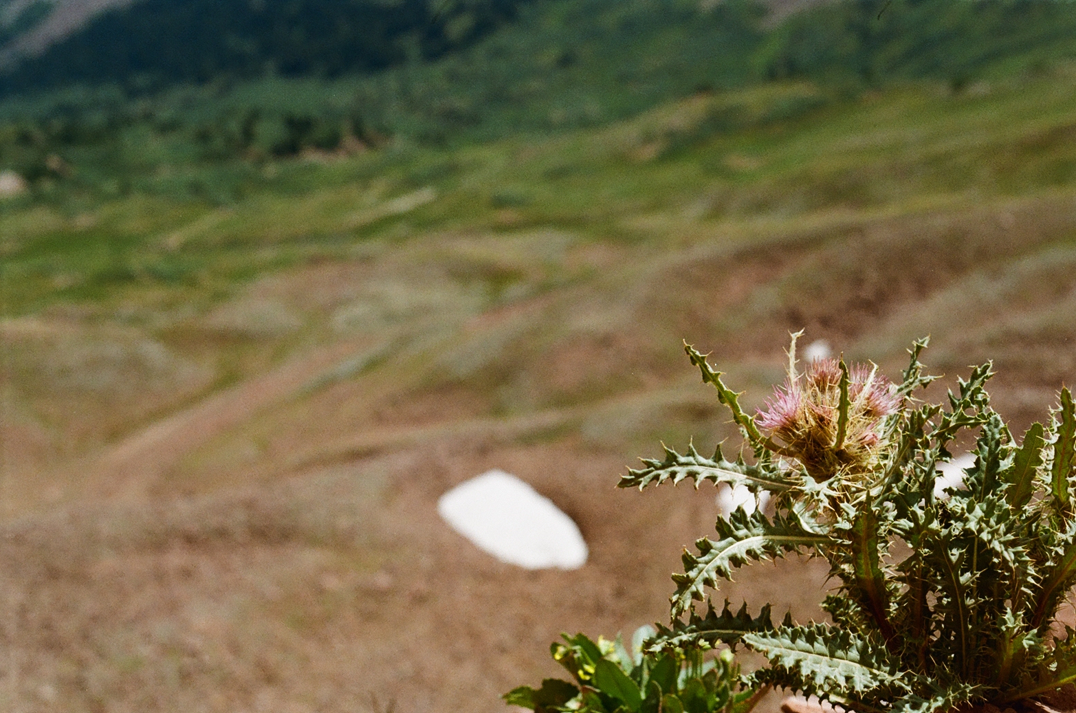 Photograph by Pierce Clark