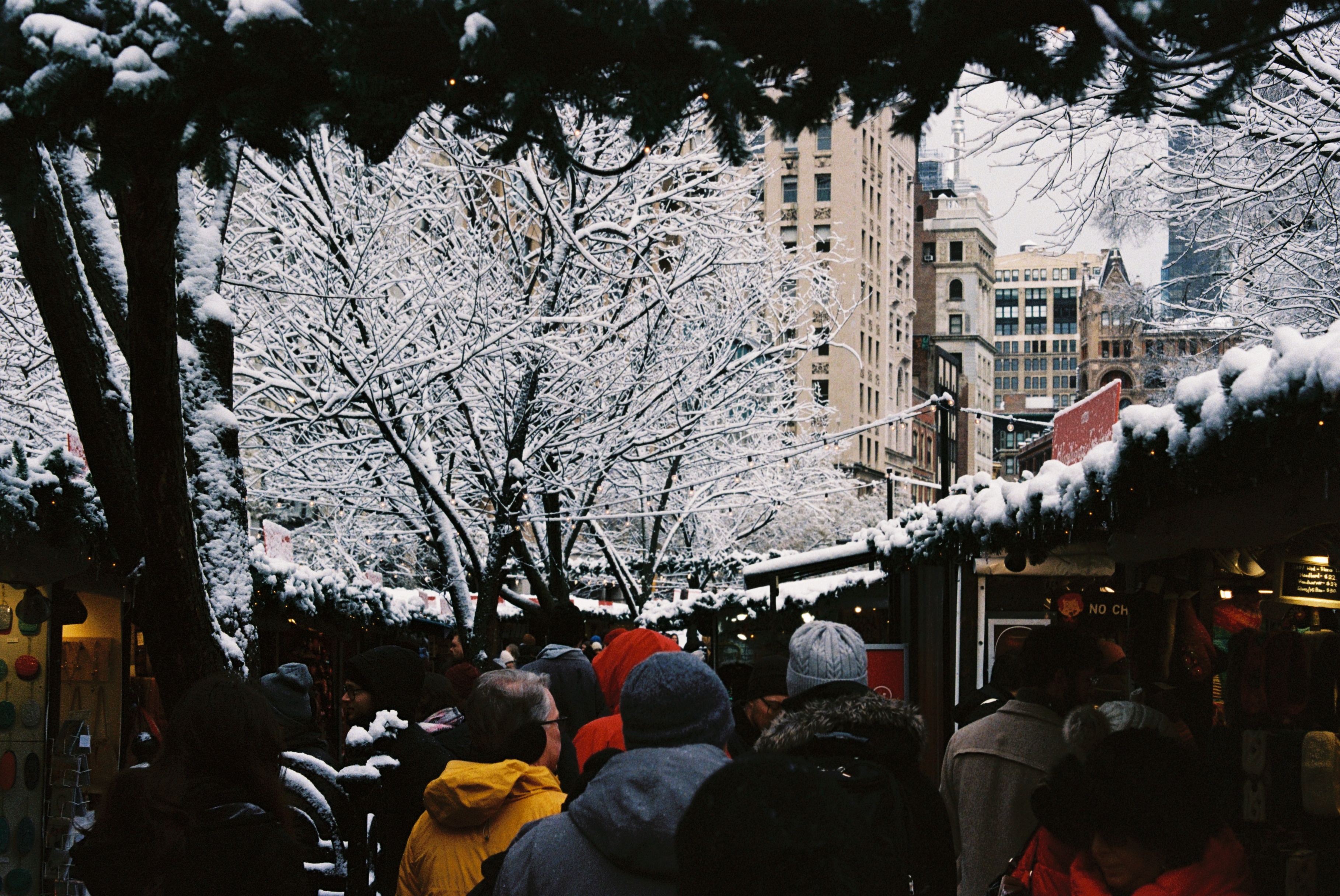 Photograph by Pierce Clark