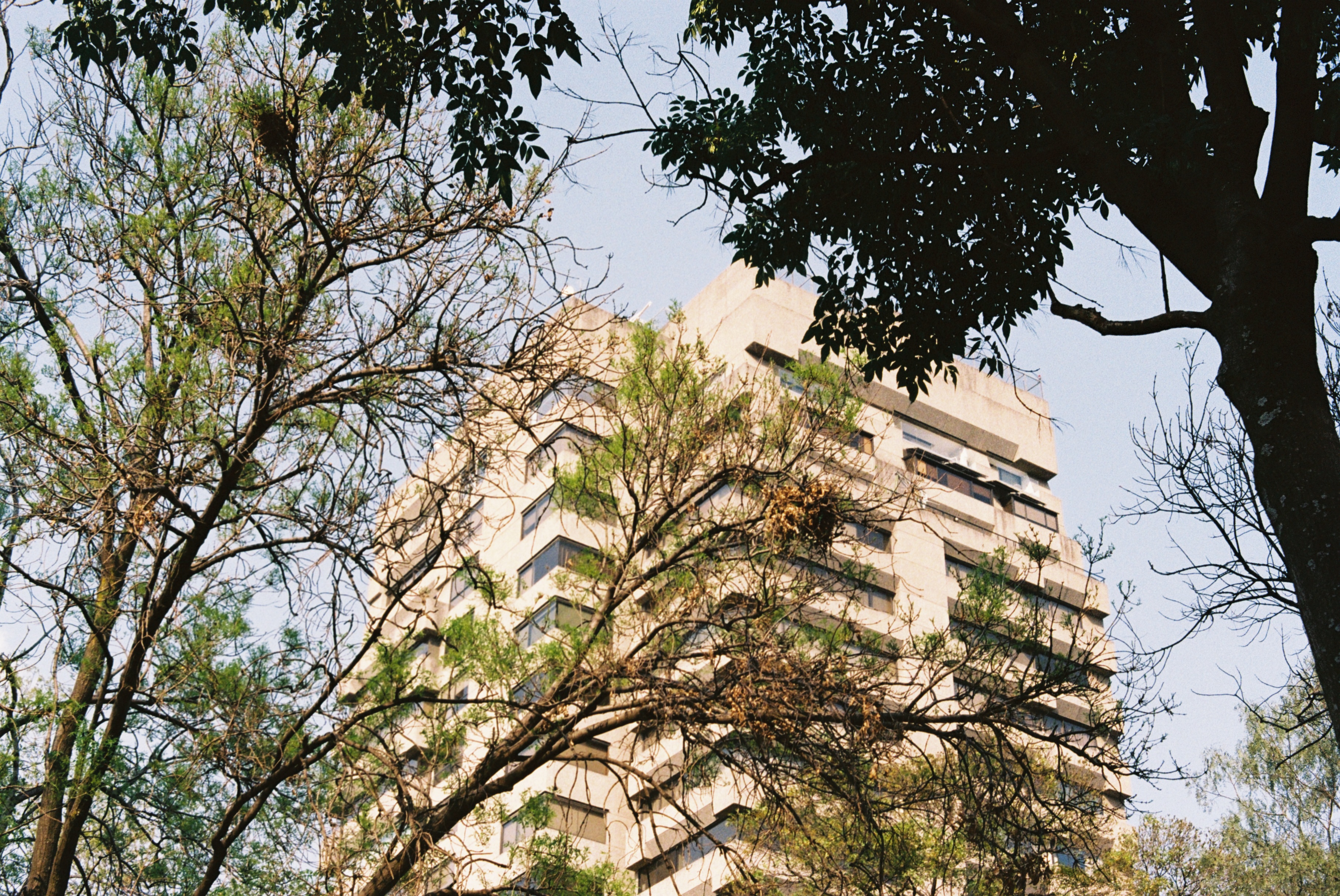 Photograph by Pierce Clark