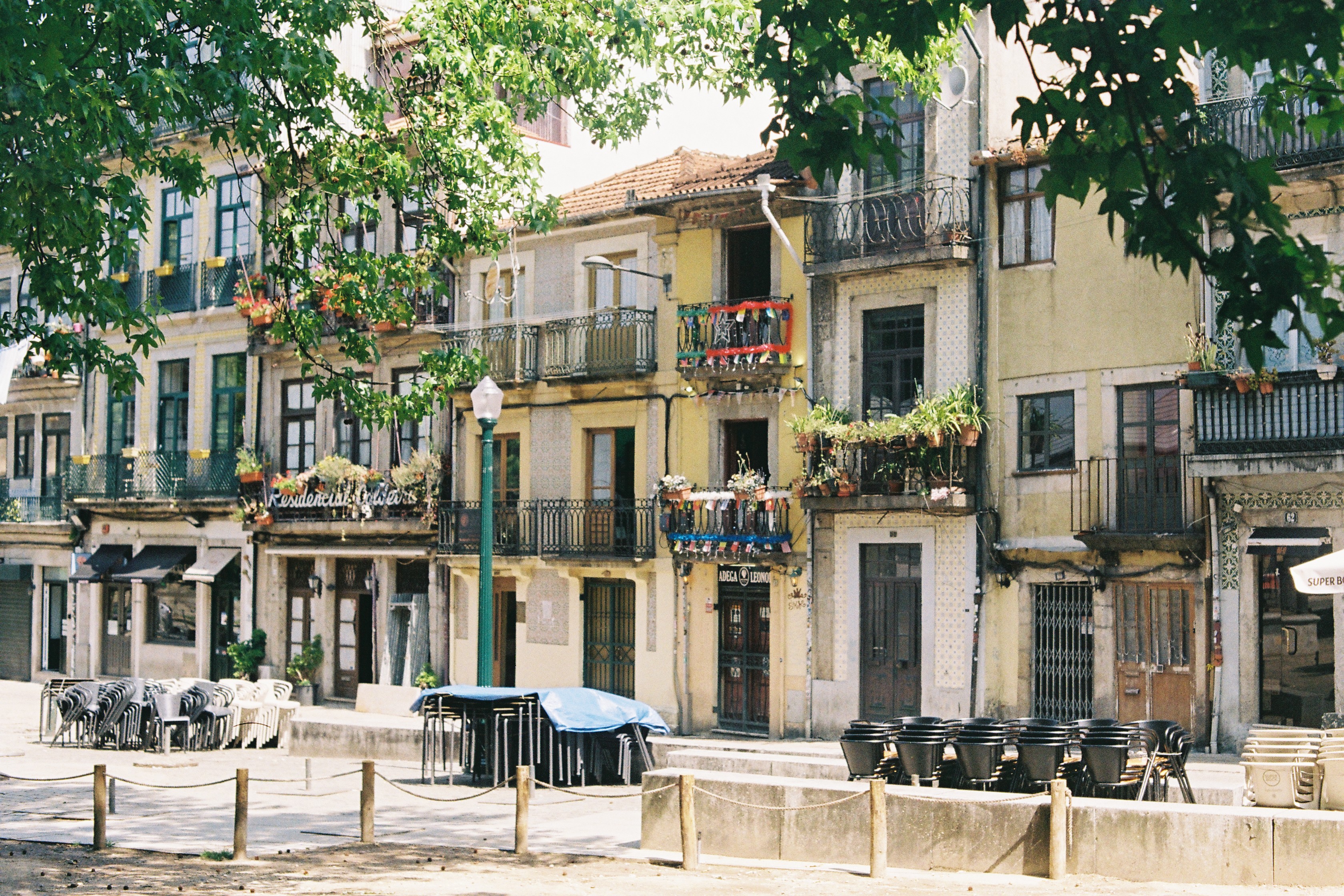 Photograph by Pierce Clark